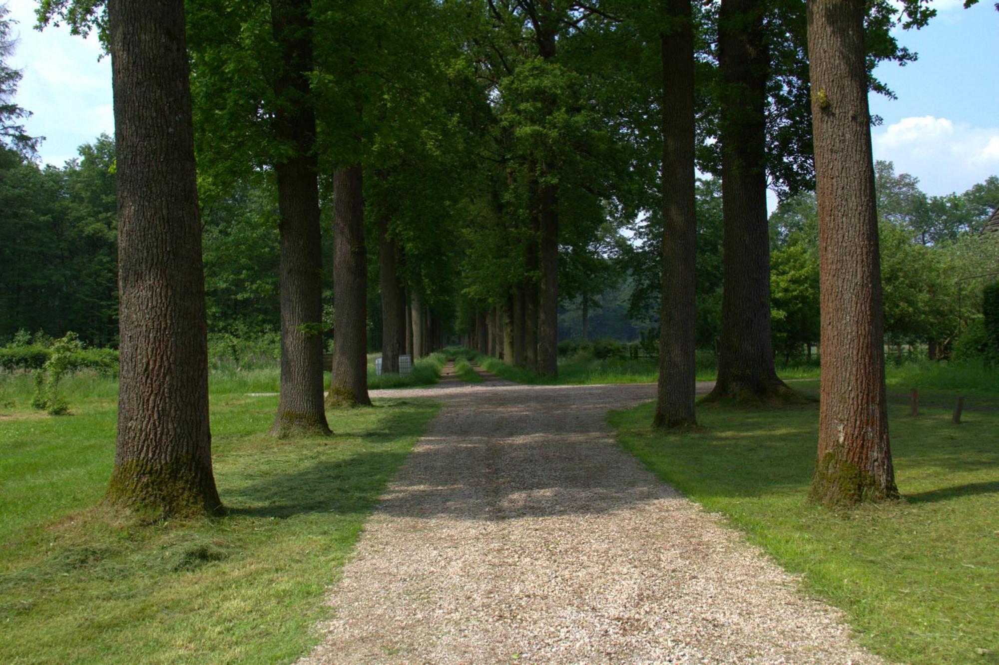 B&B Kasteel Den Tip Arendonk Eksteriør billede